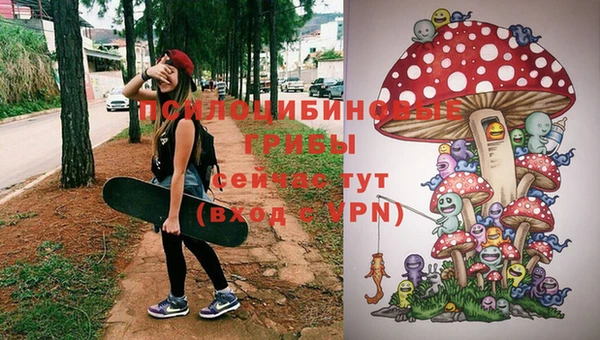 2c-b Богданович