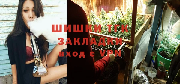 стафф Богородицк