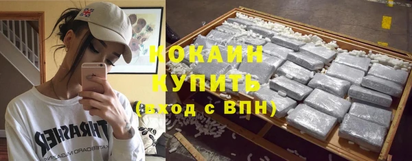 стафф Богородицк