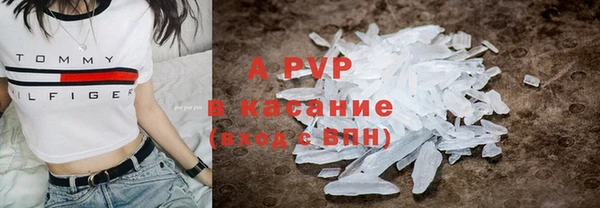 стафф Богородицк