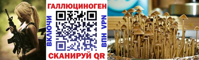 kraken ссылки  Краснознаменск  Галлюциногенные грибы GOLDEN TEACHER 